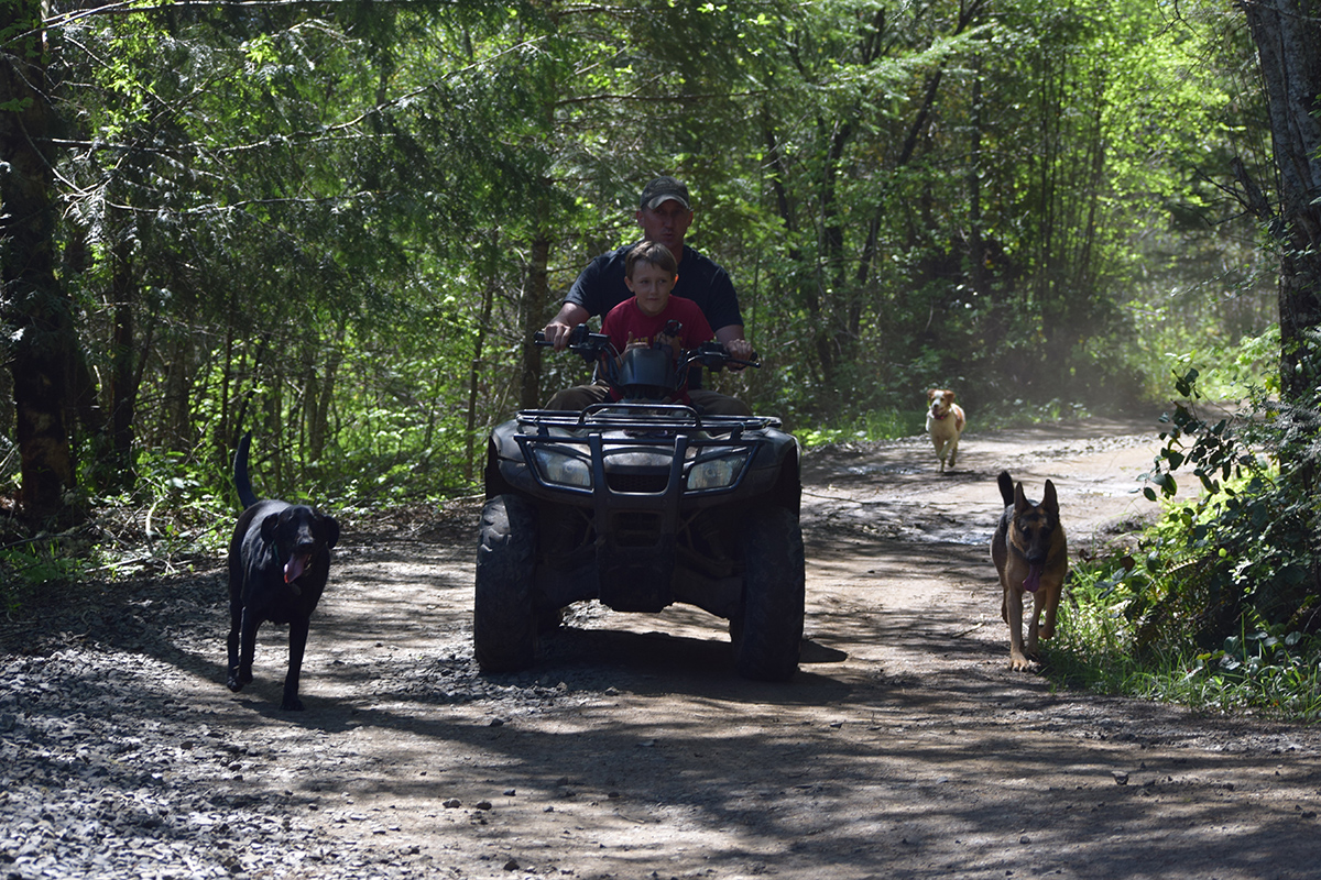 Quad Ride with Dogs
